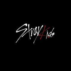 Collection image for: Stray Kids